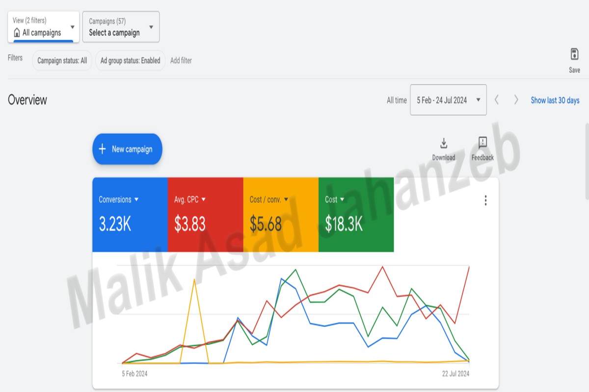 Case Study for Seasonal Google Ads Campaigns: Strategies & Insights