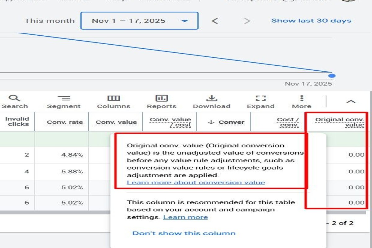 What is Original Conversion Value in Google Ads? A Complete Guide